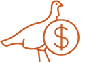 Turkey FCR & Feed Additive ROI